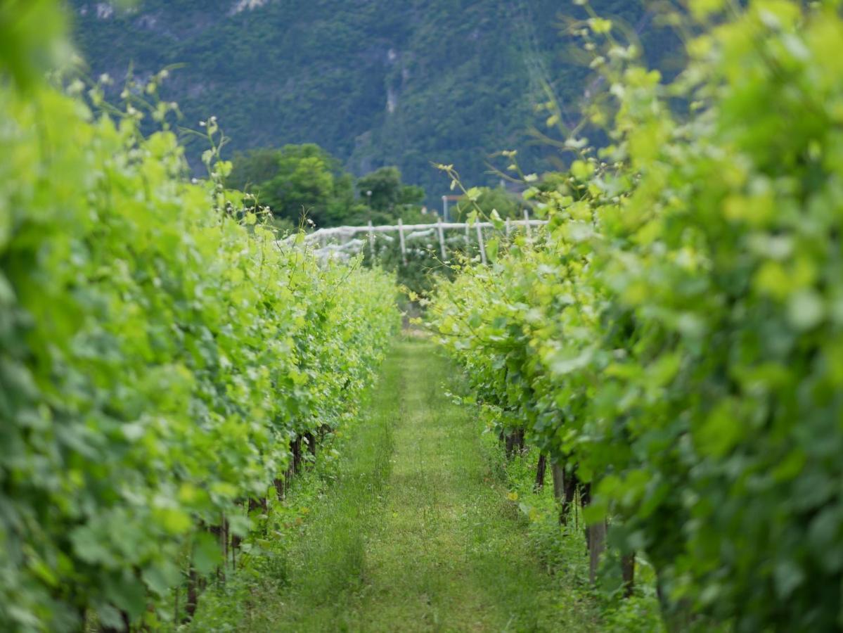 Вилла Agriturismo Casa Di Campagna Рива-дель-Гарда Экстерьер фото