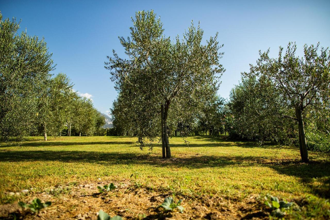 Вилла Agriturismo Casa Di Campagna Рива-дель-Гарда Экстерьер фото