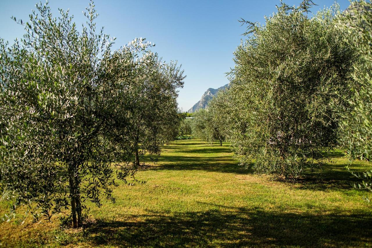 Вилла Agriturismo Casa Di Campagna Рива-дель-Гарда Экстерьер фото