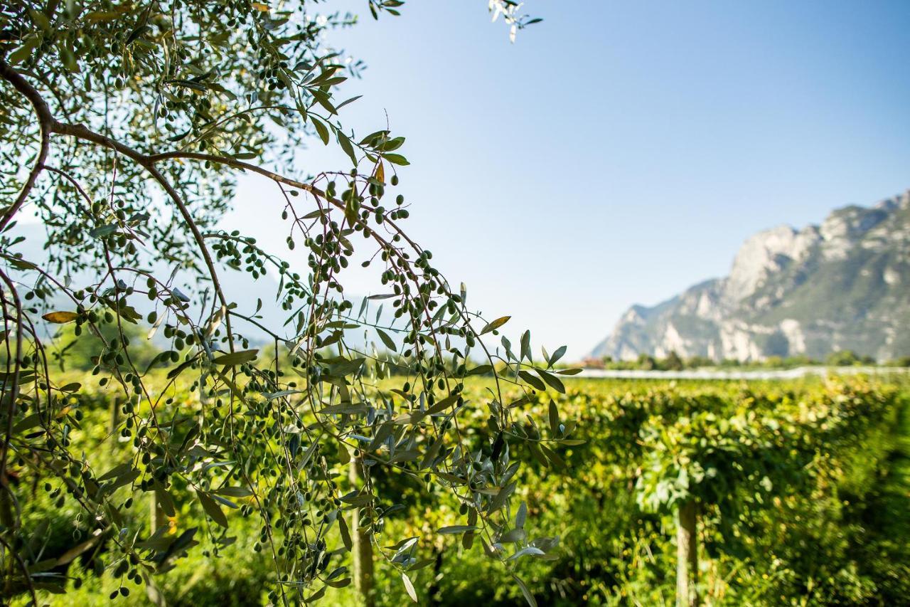 Вилла Agriturismo Casa Di Campagna Рива-дель-Гарда Экстерьер фото