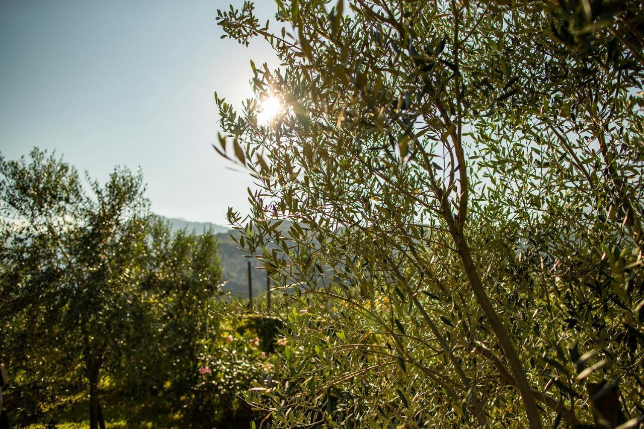 Agriturismo Casa Di Campagna Рива-дель-Гарда Экстерьер фото